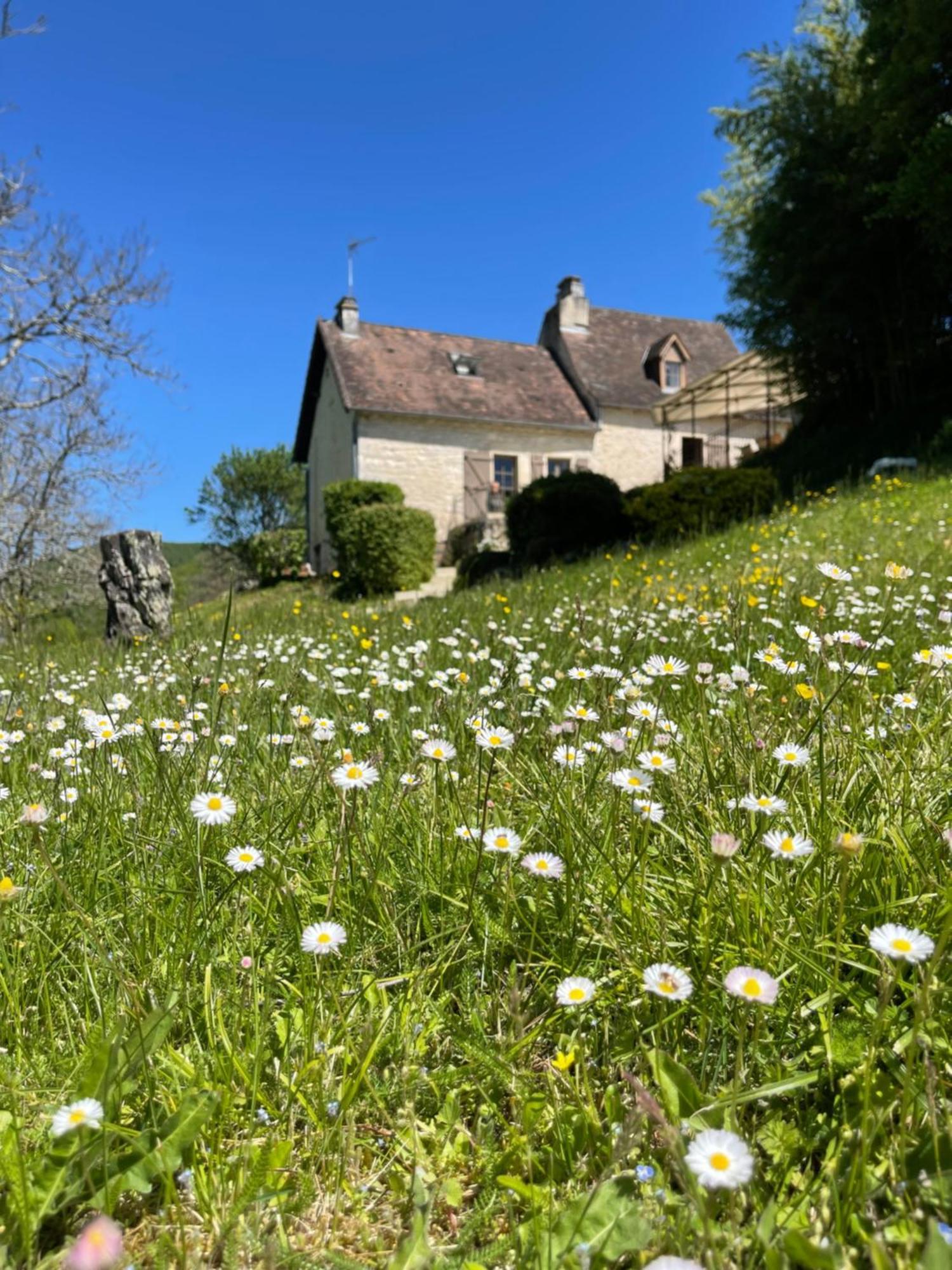 Domaine Du Bonheur En Pierre Avec Piscine, Proche Sarlat Villa Carlux Kültér fotó